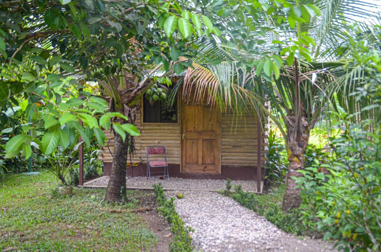 Hospedaje Y Alojamiento Cabanas Don Beto La Palma Exterior photo