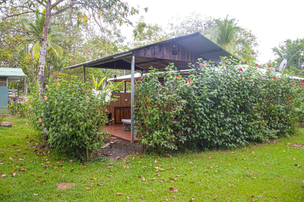 Hospedaje Y Alojamiento Cabanas Don Beto La Palma Exterior photo