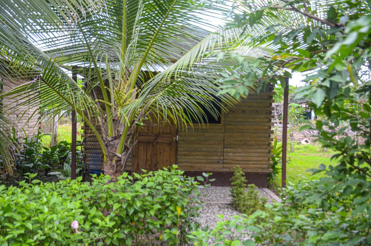 Hospedaje Y Alojamiento Cabanas Don Beto La Palma Exterior photo